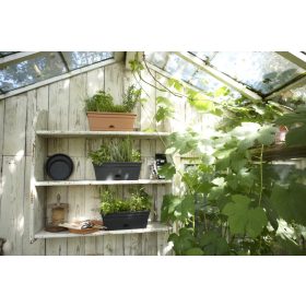 Green Basics Trough Mini 30 Mild Ter