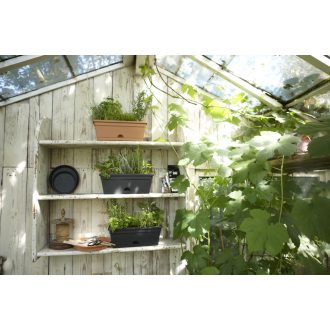 Green Basics Trough Mini 30 Mild Ter