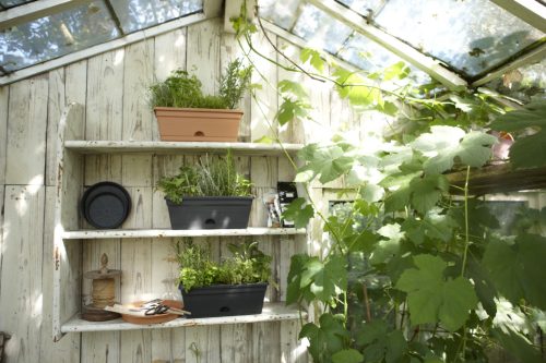 Green Basics Trough Mini 30 Mild Ter