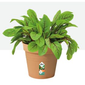 Green Basics Growpot 13 Mild Terra