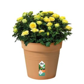 Green Basics Growpot 40 Mild Terra