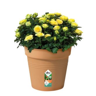 Green Basics Growpot 40 Mild Terra