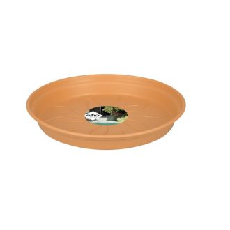 Green Basics Saucer 10 Mild Terra