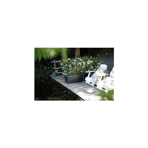 Green Basics Garden Xxl 100 Living B