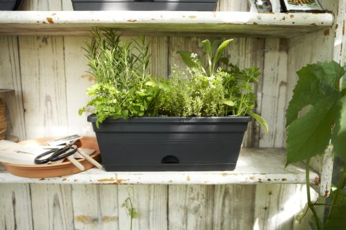 Green Basics Trough Mini 30 Living B