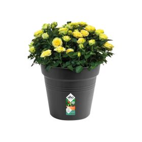Green Basics Growpot 40 Living Black