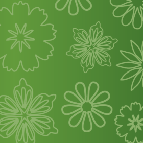 Brussels Orchid High 12,5 White