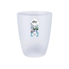 Brussels Orchid High 12,5 Transparen