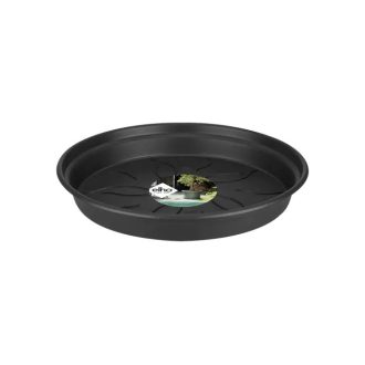 Green Basics Saucer 53 Living Black