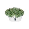Loft Urban Wall Basket 40 White