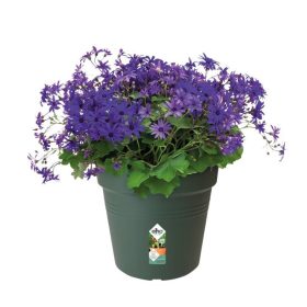 Green Basics Growpot 11 Leaf Green