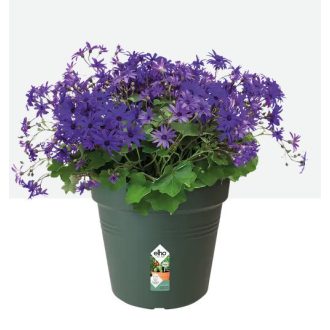 Green Basics Growpot 27 Leaf Green