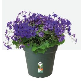 Green Basics Growpot 35 Leaf Green