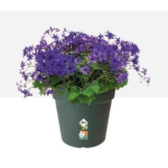 Green Basics Growpot 40 Leaf Green