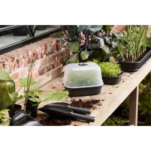 Green Basics Grow House S Transparen
