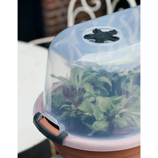 Green Basics Grow House L Transparen
