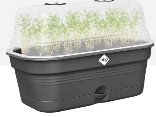 Green Basics Grow Tray Allin1 M