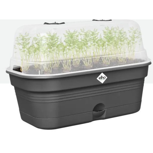 Green Basics Grow Tray Allin1 M