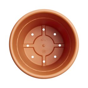 algarve cilindro 35 terra