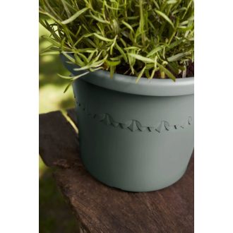 algarve cilindro 40 thyme green
