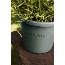 algarve cilindro 48 thyme green