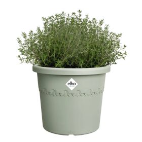 algarve cilindro 58 thyme green