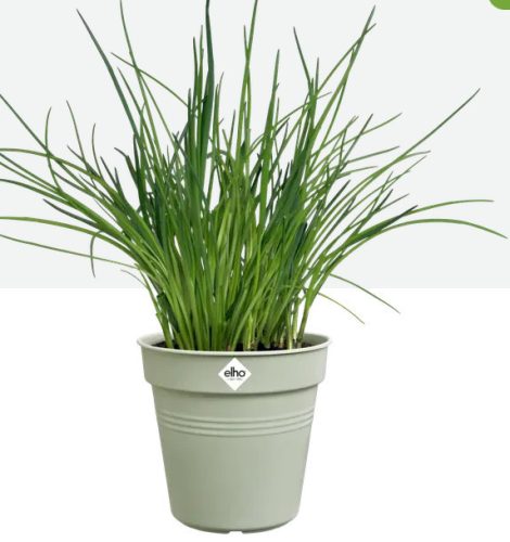 green basics growpot 19 stone green