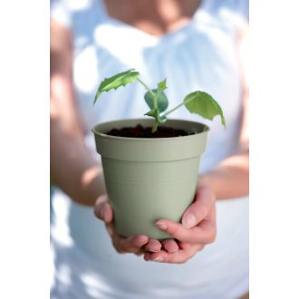 green basics growpot 24 stone green