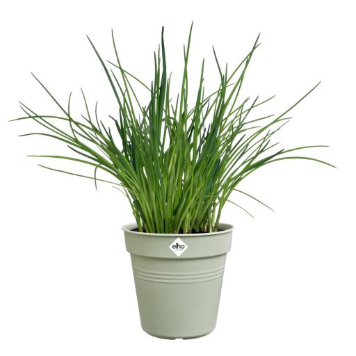 green basics growpot 24 stone green