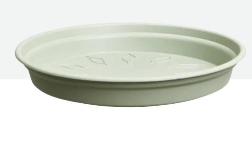 green basics saucer 17 stone green