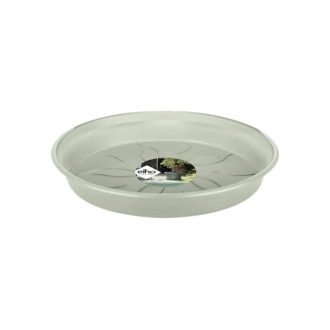green basics saucer 22 stone green