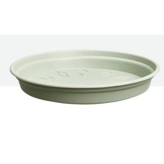 green basics saucer 25 stone green