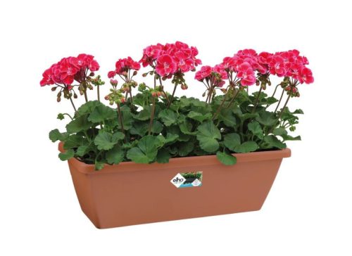 Barcelona Trough 40 Terra