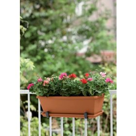 Barcelona Trough 40 Terra