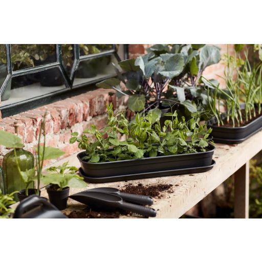 Green Basics Grow Tray L Living Blac