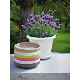 Medea Saucer 64 Taupe