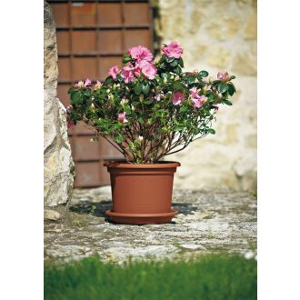Geo 60 Terracotta