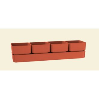 Sierra 38 Coral