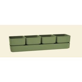 Sierra 38 Olive