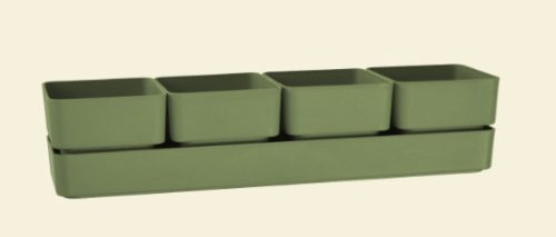 Sierra 48 Olive