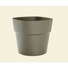 Andromeda 28 Green Hay