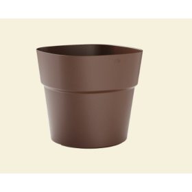 Andromeda 28 Red Amber