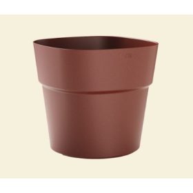 Andromeda 28 Rosewood