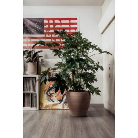 VOLTERRA 28 GALESTRO