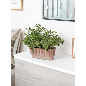 TAORMINA 33 GALESTRO