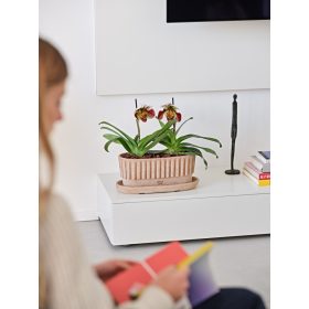 TAORMINA 33 GALESTRO