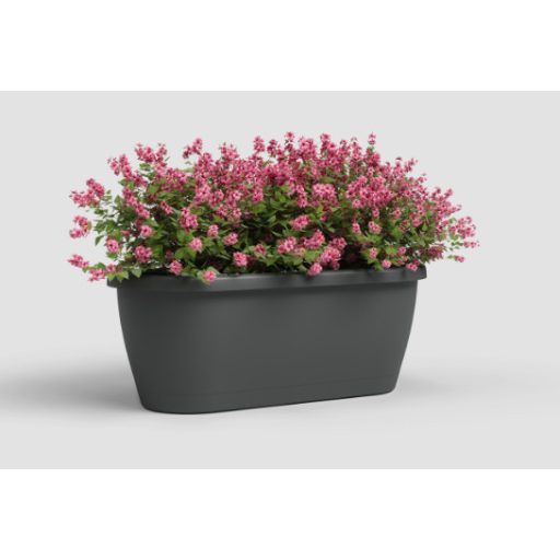 Algarve Wall Plant Box 40 Ma Anthrac