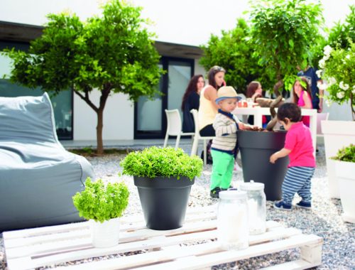 Capri 50 Ma Anthracite