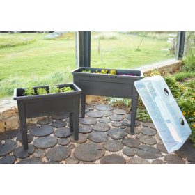 Venezia Grow Box Lid 100 Transparent