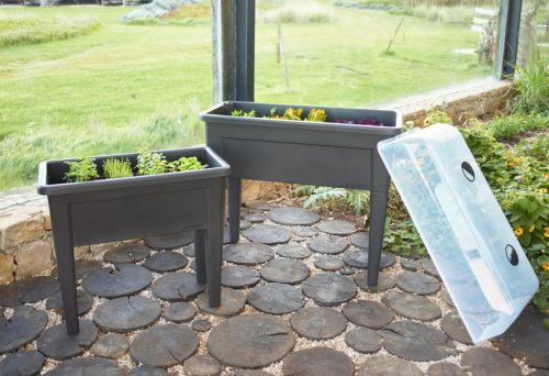 Venezia Grow Box Lid 100 Transparent